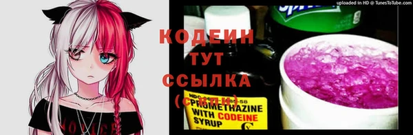 дмт Армянск