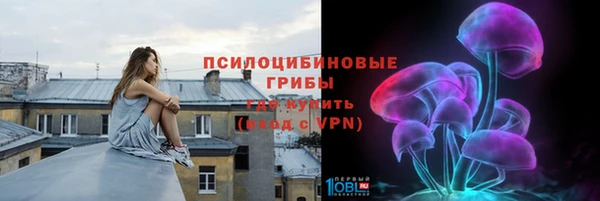 mdpv Арсеньев