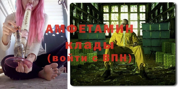 индика Аркадак