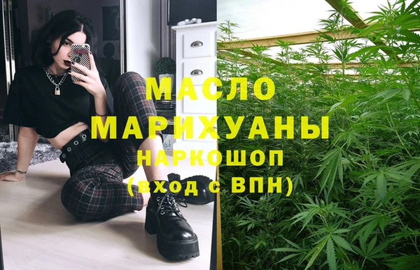 индика Аркадак