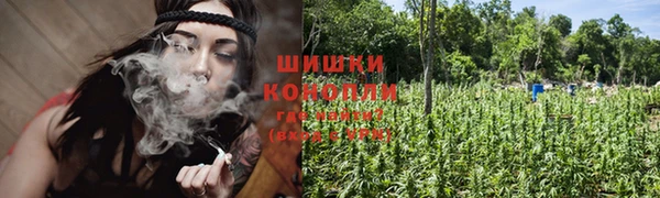 индика Аркадак