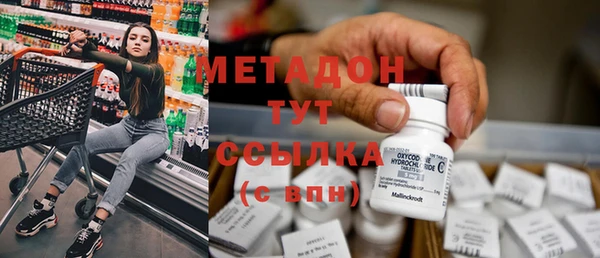 индика Аркадак