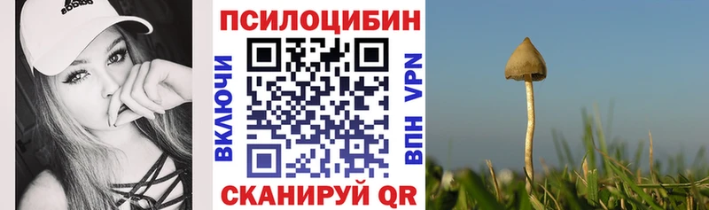 Галлюциногенные грибы прущие грибы Татарск